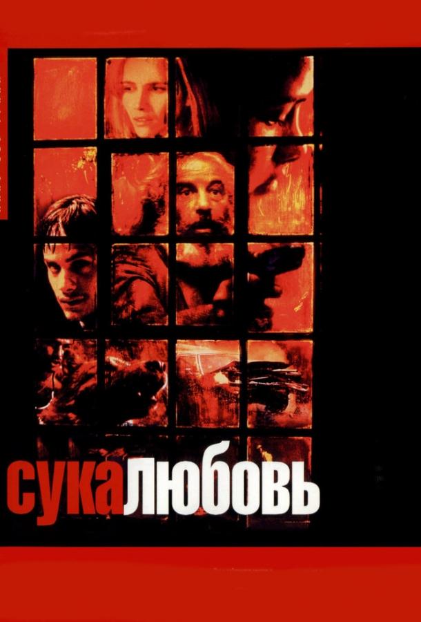 Фильм Сука-любовь (2000) смотреть онлайн в HD качестве